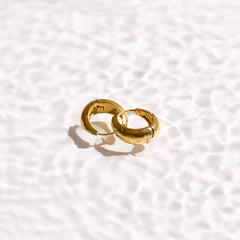 Pretty Princess Hoop Earrings